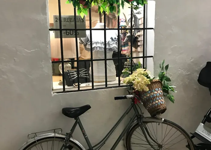 Beachfront Bliss Apartament